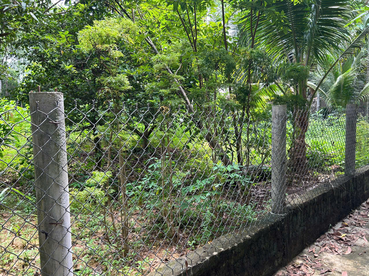 đất nền view sông hoài nhơn giá rẻ